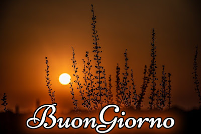 mozzafiato significativo nuovissimo buongiorno immagini recenti