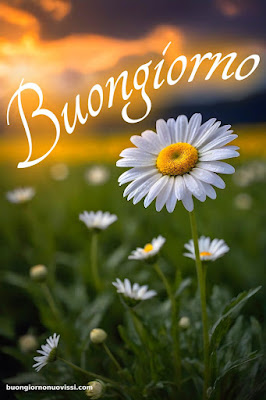 Mozzafiato Significativo Nuovissimo Buongiorno Immagini Recenti Mozzafiato Significativo Nuovissimo Buongiorno Immagini Recenti