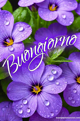 Mozzafiato Significativo Nuovissimo Buongiorno Immagini Recenti Mozzafiato Significativo Nuovissimo Buongiorno Immagini Recenti