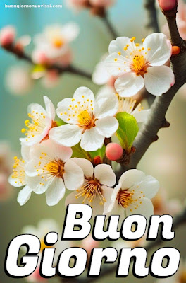 Mozzafiato Significativo Nuovissimo Buongiorno Immagini Recenti Mozzafiato Significativo Nuovissimo Buongiorno Immagini Recenti