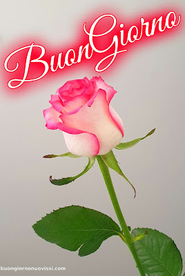 Mozzafiato Significativo Nuovissimo Buongiorno Immagini Recenti Mozzafiato Significativo Nuovissimo Buongiorno Immagini Recenti