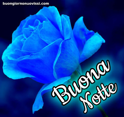 nuovissimi immagini buonanotte la pietra bianca