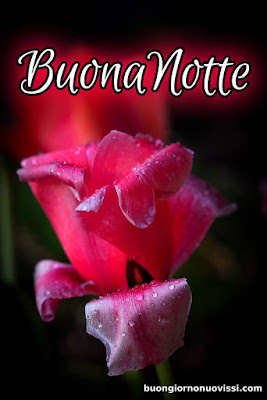 nuovissimi immagini buonanotte la pietra bianca