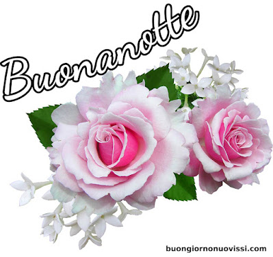 nuovissimi immagini buonanotte la pietra bianca