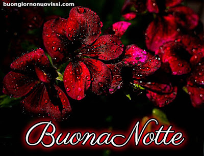 nuovissimi immagini buonanotte la pietra bianca