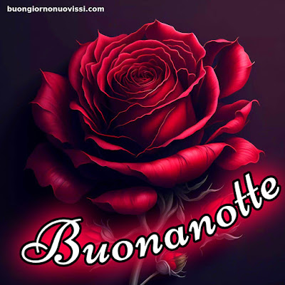 nuovissimi immagini buonanotte la pietra bianca