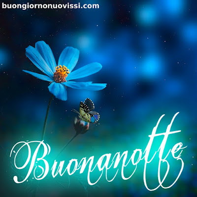 nuovissimi immagini buonanotte la pietra bianca