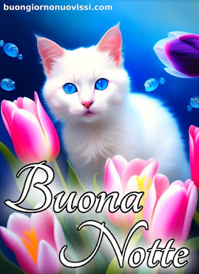 nuovissimi immagini buonanotte la pietra bianca