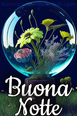 nuovissimi immagini buonanotte la pietra bianca