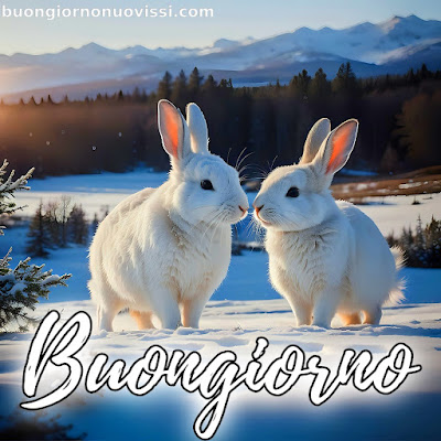 nuovissimo buon giorno nuovissimi nuovissimo buongiorno immagini recenti