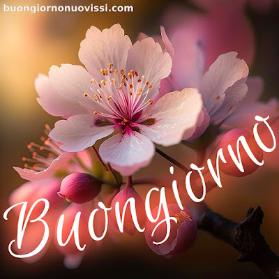 nuovissimo buon giorno nuovissimi nuovissimo buongiorno immagini recenti