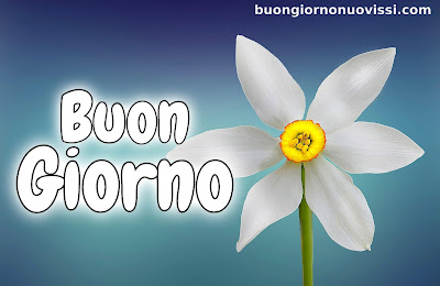 nuovissimo buon giorno nuovissimi nuovissimo buongiorno immagini recenti