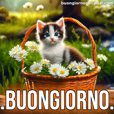 nuovissimo buon giorno nuovissimi nuovissimo buongiorno immagini recenti