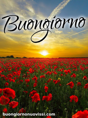 nuovissimo buon giorno nuovissimi nuovissimo buongiorno immagini recenti