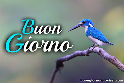 nuovissimo buon giorno nuovissimi nuovissimo buongiorno immagini recenti