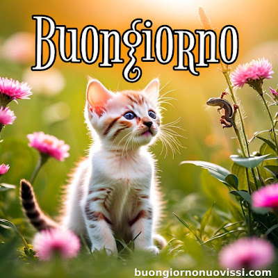 nuovissimo buon giorno nuovissimi nuovissimo buongiorno immagini recenti