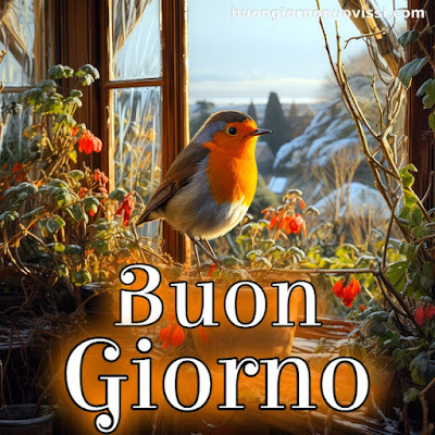 nuovissimo buon giorno nuovissimi nuovissimo buongiorno immagini recenti