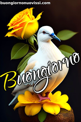 nuovissimo buon giorno nuovissimi nuovissimo buongiorno immagini recenti