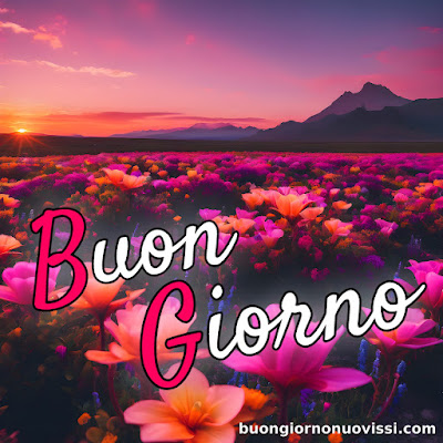 nuovissimo buon giorno nuovissimi nuovissimo buongiorno immagini recenti