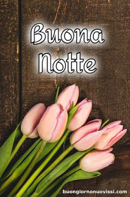 novissimo buona notte nuovissimo buonanotte immagini Recenti novissimo buona notte nuovissimo buonanotte immagini Recenti