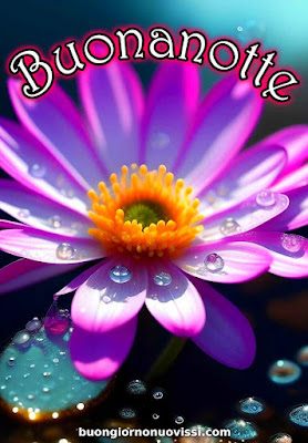 novissimo buona notte nuovissimo buonanotte immagini Recenti novissimo buona notte nuovissimo buonanotte immagini Recenti