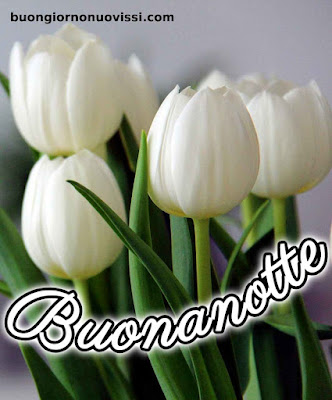 novissimo buona notte nuovissimo buonanotte immagini Recenti novissimo buona notte nuovissimo buonanotte immagini Recenti