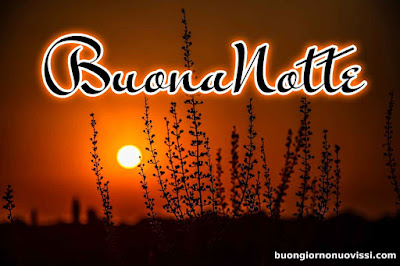 novissimo buona notte nuovissimo buonanotte immagini Recenti novissimo buona notte nuovissimo buonanotte immagini Recenti