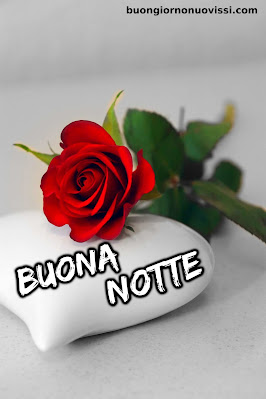 novissimo buona notte nuovissimo buonanotte immagini Recenti novissimo buona notte nuovissimo buonanotte immagini Recenti