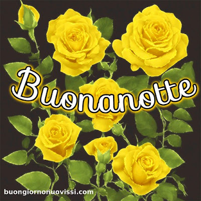 novissimo buona notte nuovissimo buonanotte immagini Recenti novissimo buona notte nuovissimo buonanotte immagini Recenti