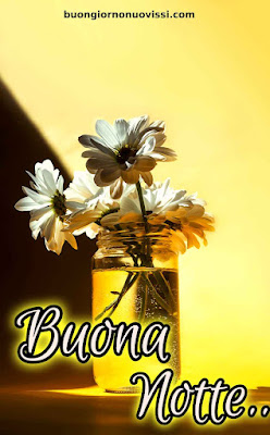 novissimo buona notte nuovissimo buonanotte immagini Recenti novissimo buona notte nuovissimo buonanotte immagini Recenti