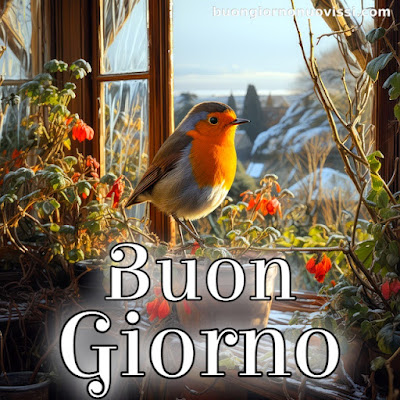 nuovissimo buongiorno immagini recenti nuovissimo buongiorno immagini recenti