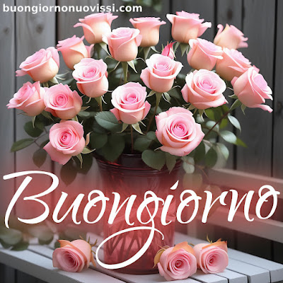 nuovissimo buongiorno immagini recenti nuovissimo buongiorno immagini recenti