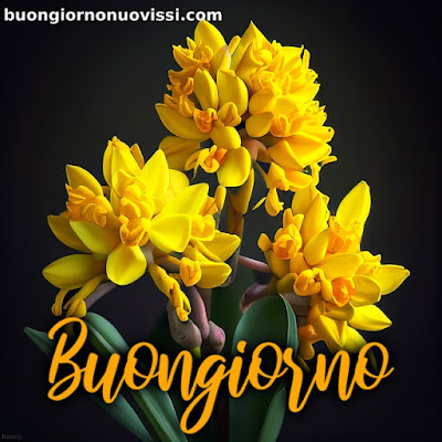 nuovissimo buongiorno immagini recenti nuovissimo buongiorno immagini recenti