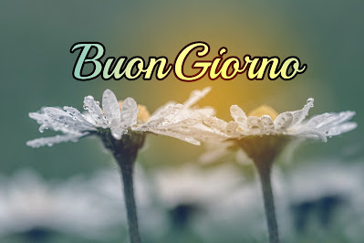 nuovissimo buongiorno immagini recenti