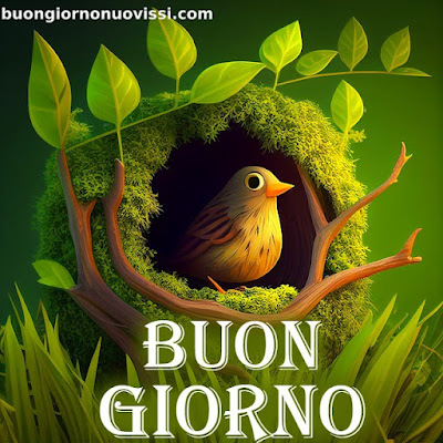 nuovissimo buongiorno immagini recenti nuovissimo buongiorno immagini recenti