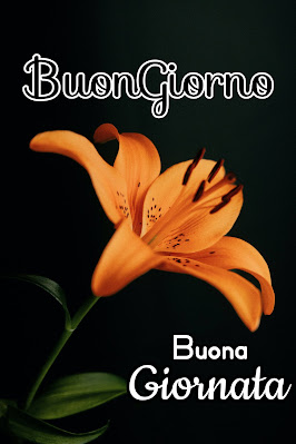 nuovissimo buongiorno immagini recenti
