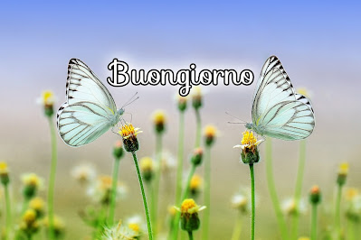 nuovissimo buongiorno immagini recenti