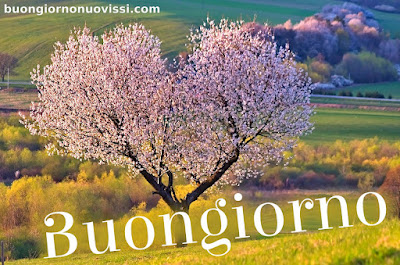 nuovissimo buongiorno immagini recenti nuovissimo buongiorno immagini recenti