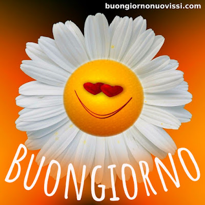 nuovissimo buongiorno immagini recenti nuovissimo buongiorno immagini recenti