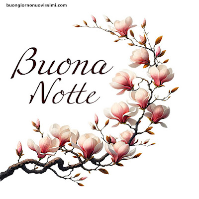 Nuovissimo Originale Nuovissimo Buonanotte Immagini Recenti