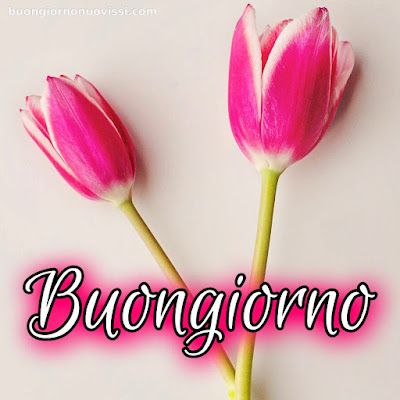 originali nuovissimo buongiorno immagini recenti