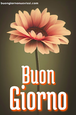 originali nuovissimo buongiorno immagini recenti
