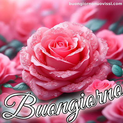 originali nuovissimo buongiorno immagini recenti