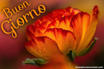 originali nuovissimo buongiorno immagini recenti