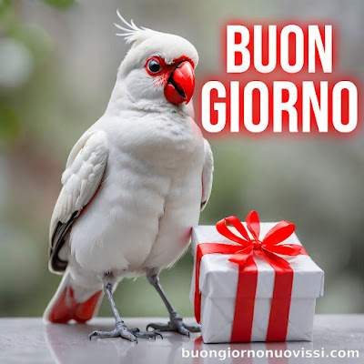 originali nuovissimo buongiorno immagini recenti