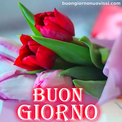 originali nuovissimo buongiorno immagini recenti