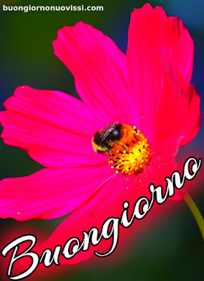 originali nuovissimo buongiorno immagini recenti