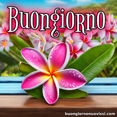 originali nuovissimo buongiorno immagini recenti