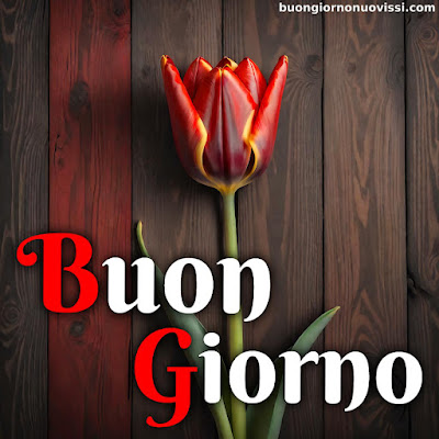 originali nuovissimo buongiorno immagini recenti