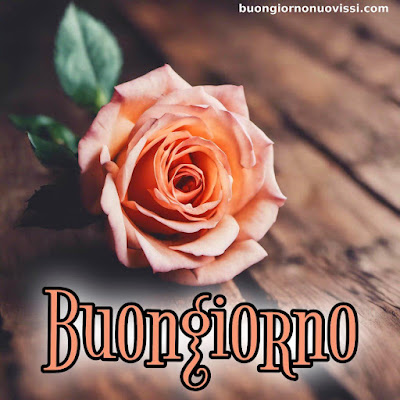 originali nuovissimo buongiorno immagini recenti